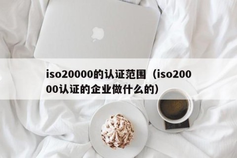 iso20000的认证范围（iso20000认证的企业做什么的）