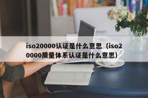 iso20000认证是什么意思（iso20000质量体系认证是什么意思）