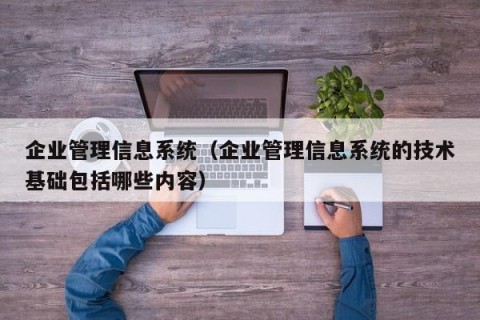 企业管理信息系统（企业管理信息系统的技术基础包括哪些内容）