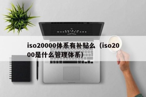 iso20000体系有补贴么（iso2000是什么管理体系）