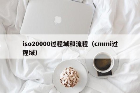 iso20000过程域和流程（cmmi过程域）