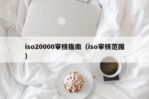 iso20000审核指南（iso审核范围）