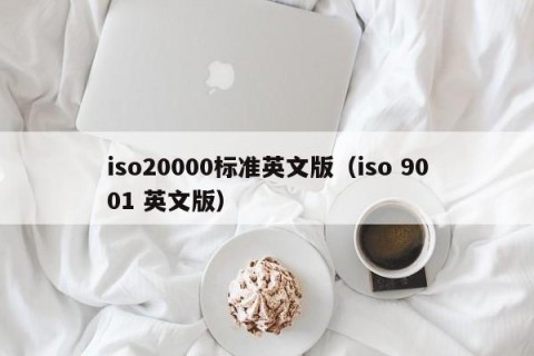 iso20000标准英文版（iso 9001 英文版）