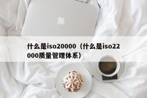 什么是iso20000（什么是iso22000质量管理体系）