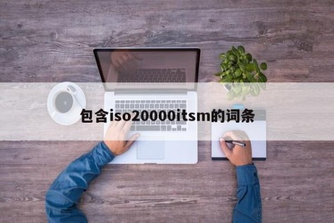 包含iso20000itsm的词条