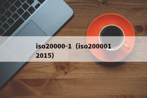 iso20000-1（iso2000012015）