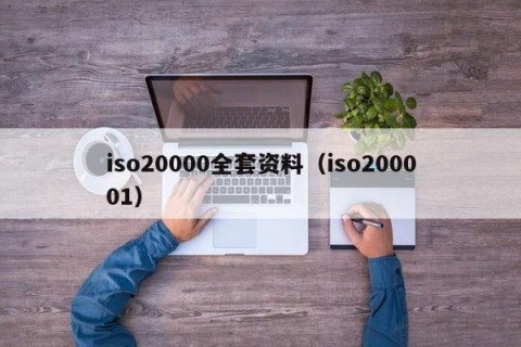 iso20000全套资料（iso200001）