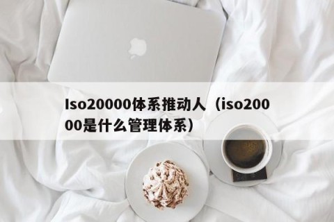 Iso20000体系推动人（iso20000是什么管理体系）