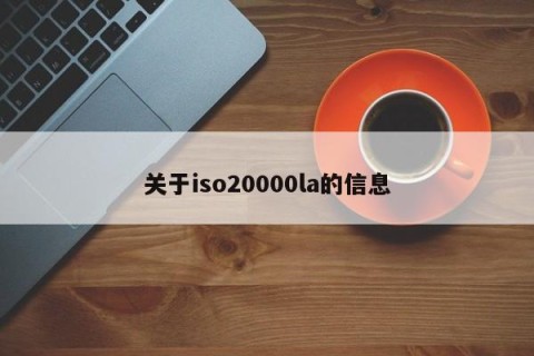 关于iso20000la的信息
