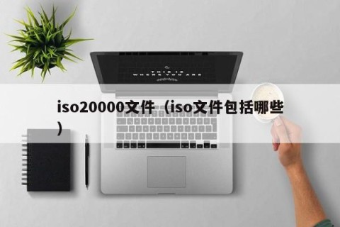iso20000文件（iso文件包括哪些）