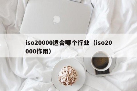 iso20000适合哪个行业（iso20000作用）