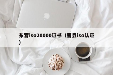 东营iso20000证书（曹县iso认证）