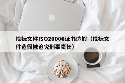 投标文件ISO20000证书造假（投标文件造假被追究刑事责任）