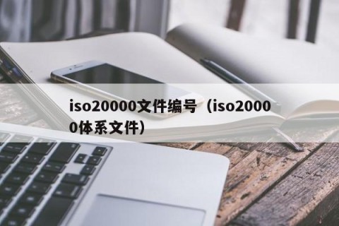 iso20000文件编号（iso20000体系文件）