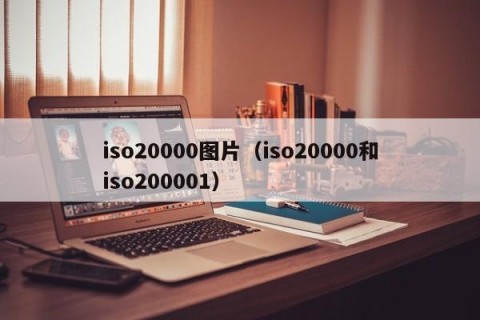 iso20000图片（iso20000和iso200001）