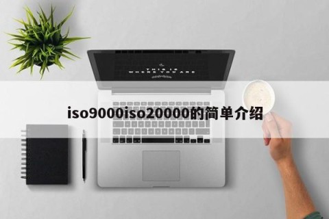iso9000iso20000的简单介绍