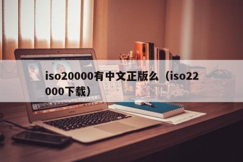 iso20000有中文正版么（iso22000下载）