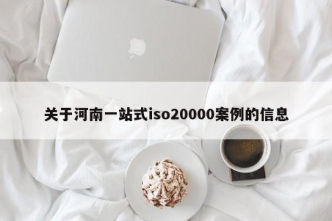 关于河南一站式iso20000案例的信息
