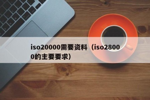 iso20000需要资料（iso28000的主要要求）