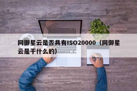网御星云是否具有ISO20000（网御星云是干什么的）