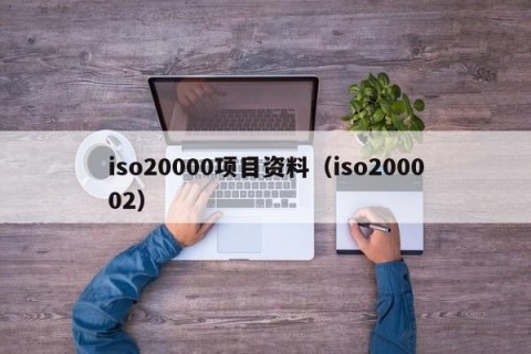 iso20000项目资料（iso200002）