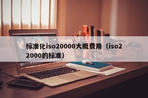 标准化iso20000大概费用（iso22000的标准）