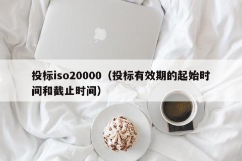 投标iso20000（投标有效期的起始时间和截止时间）