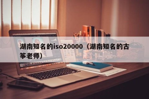 湖南知名的iso20000（湖南知名的古筝老师）