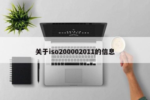 关于iso200002011的信息