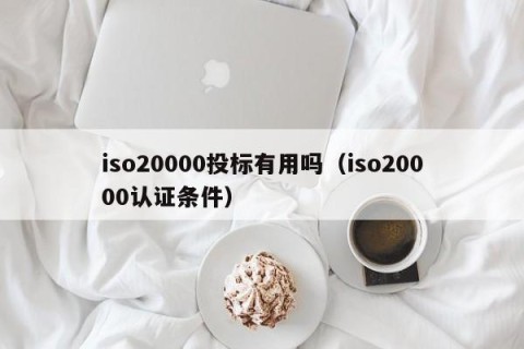 iso20000投标有用吗（iso20000认证条件）