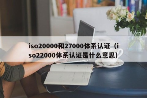 iso20000和27000体系认证（iso22000体系认证是什么意思）