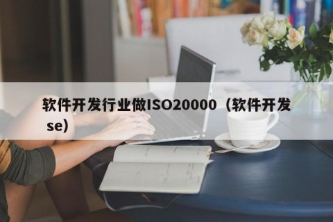 软件开发行业做ISO20000（软件开发 se）