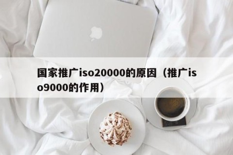 国家推广iso20000的原因（推广iso9000的作用）