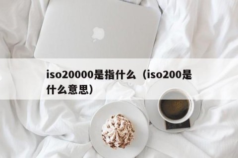 iso20000是指什么（iso200是什么意思）