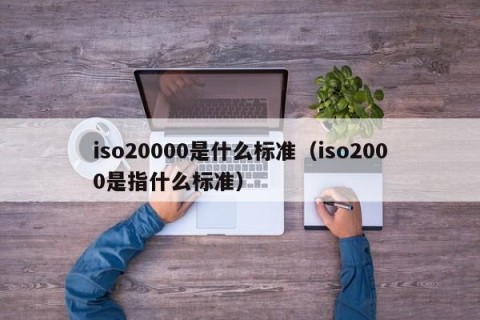iso20000是什么标准（iso2000是指什么标准）