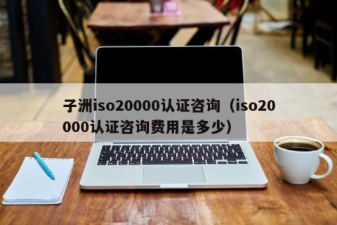 子洲iso20000认证咨询（iso20000认证咨询费用是多少）