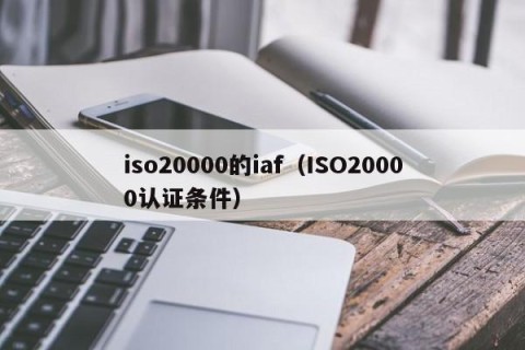 iso20000的iaf（ISO20000认证条件）