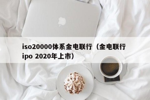 iso20000体系金电联行（金电联行 ipo 2020年上市）