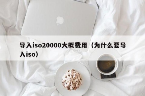 导入iso20000大概费用（为什么要导入iso）