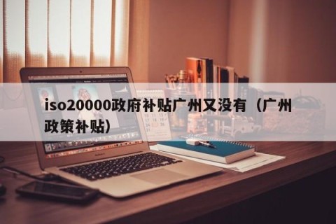 iso20000政府补贴广州又没有（广州政策补贴）