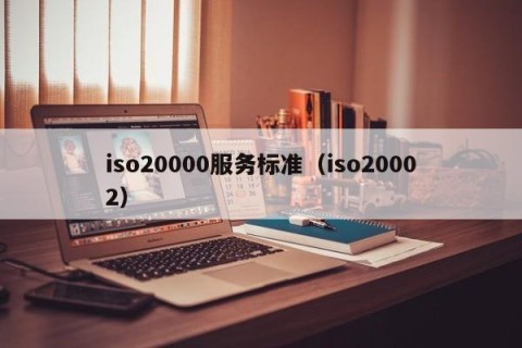 iso20000服务标准（iso20002）