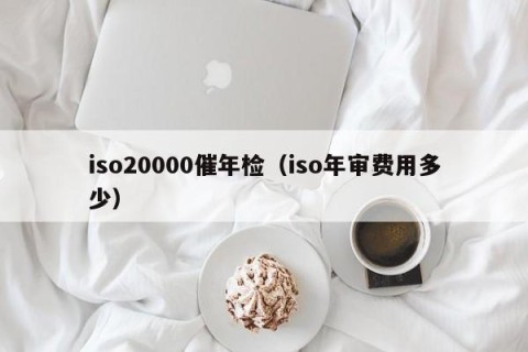 iso20000催年检（iso年审费用多少）