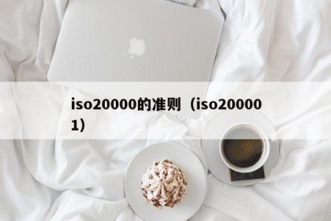 iso20000的准则（iso200001）