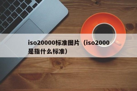 iso20000标准图片（iso2000是指什么标准）