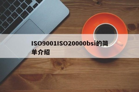 ISO9001ISO20000bsi的简单介绍