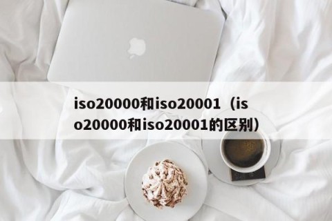 iso20000和iso20001（iso20000和iso20001的区别）