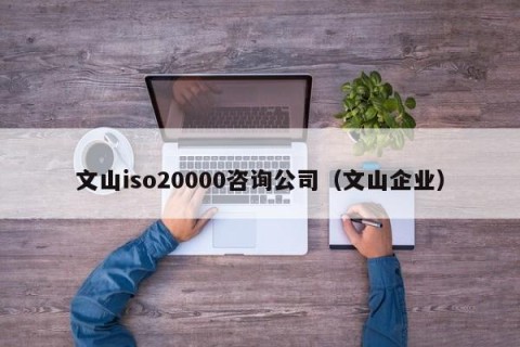 文山iso20000咨询公司（文山企业）
