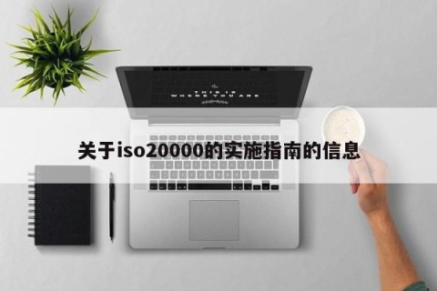 关于iso20000的实施指南的信息