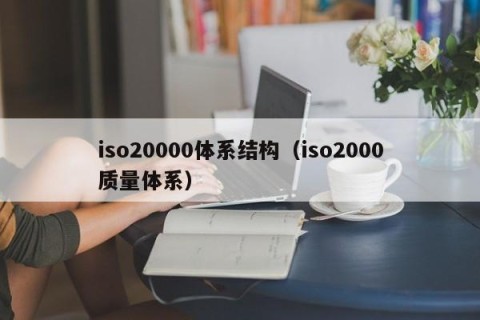 iso20000体系结构（iso2000质量体系）