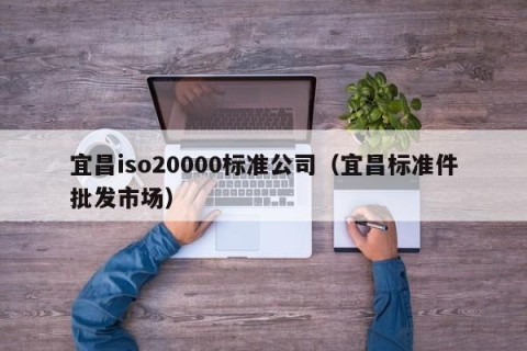 宜昌iso20000标准公司（宜昌标准件批发市场）